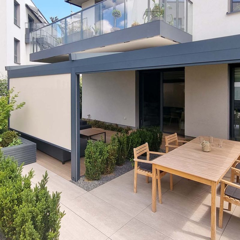 Tarasola_Elegancy_63