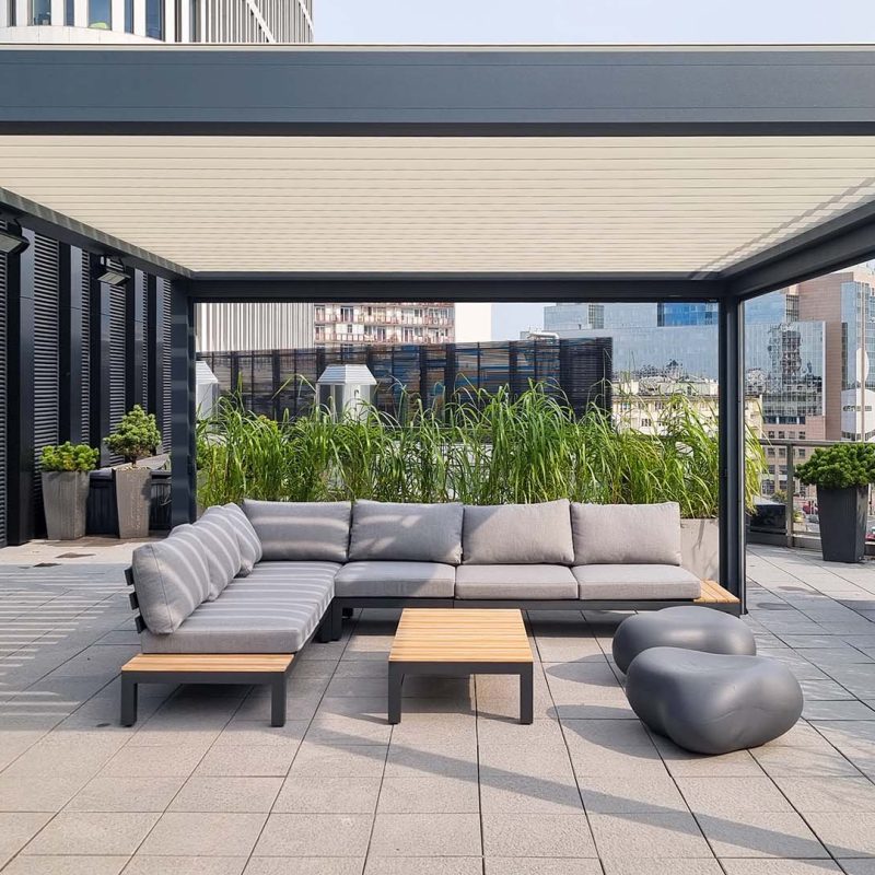 Tarasola_Technic-231