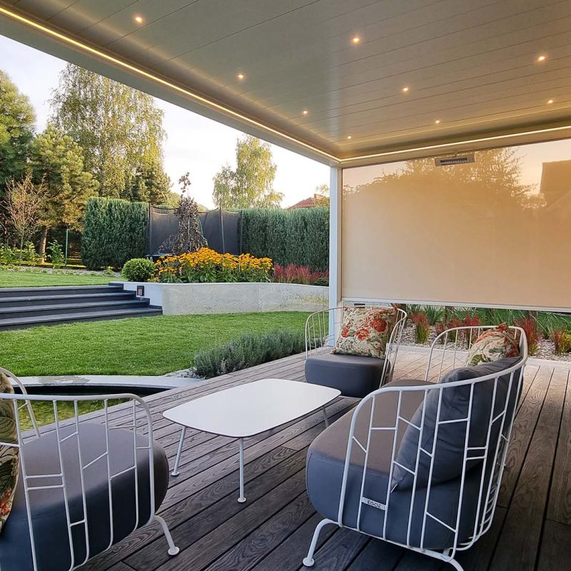 Tarasola_Technic_170