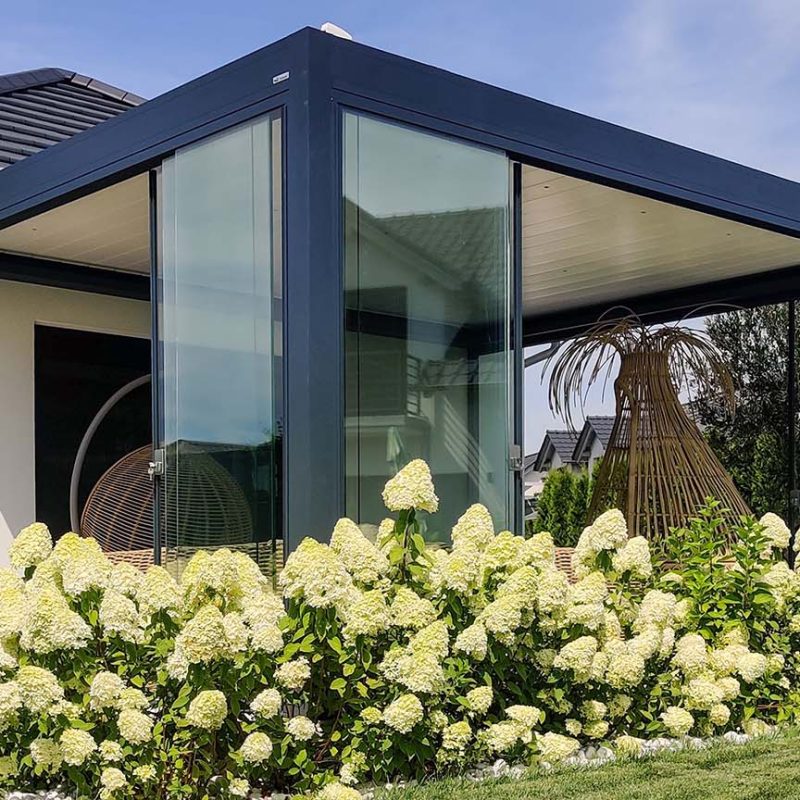 Tarasola_Technic_196